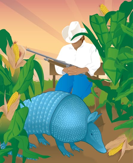 ARMADILLO