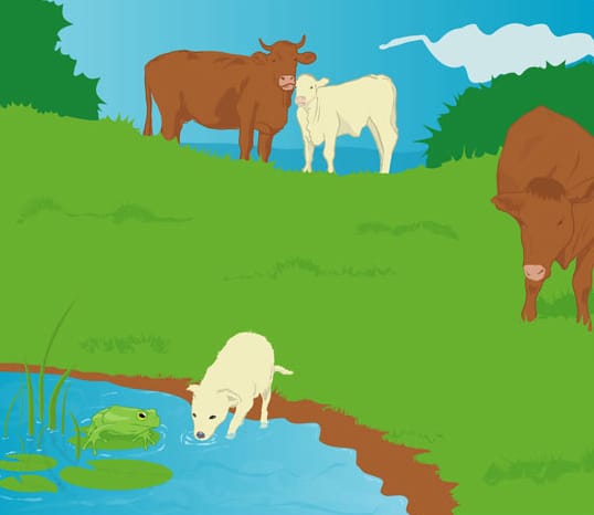 dog drinking water while cows watch childrens book illustration featuring a dag named sam
